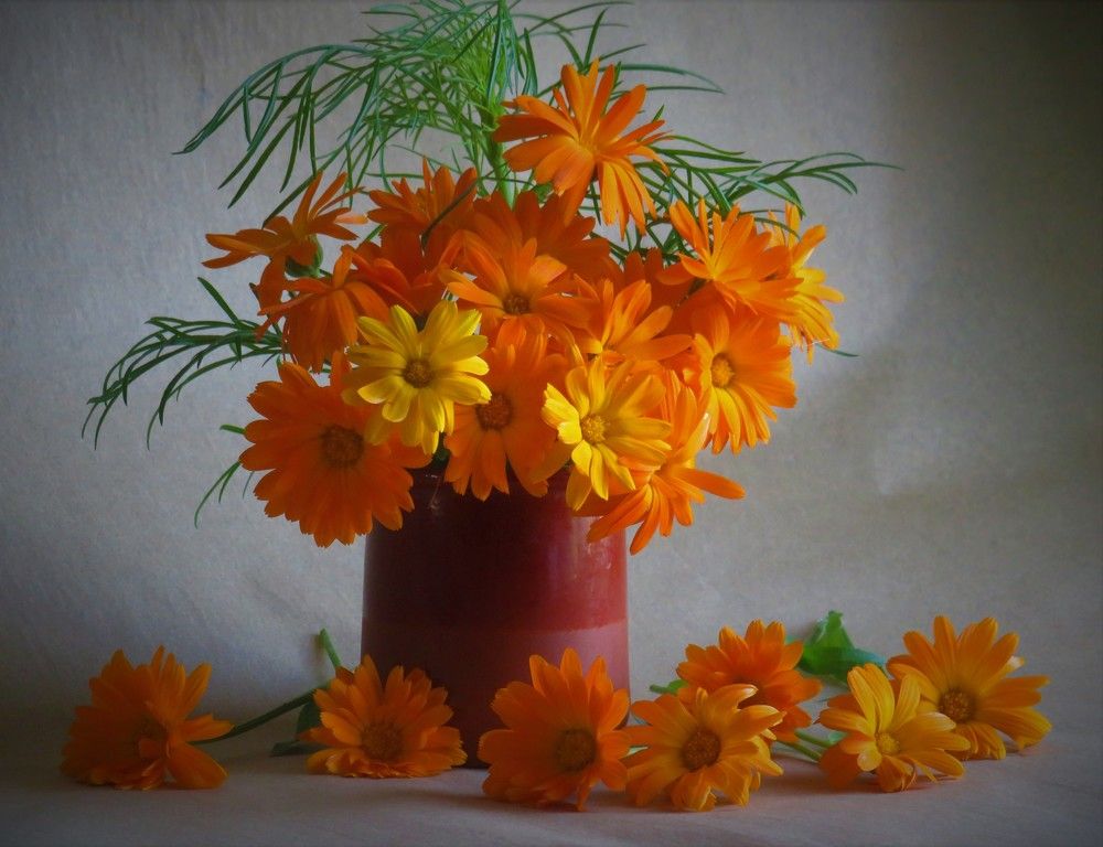 Photograph by Людмила Кононова