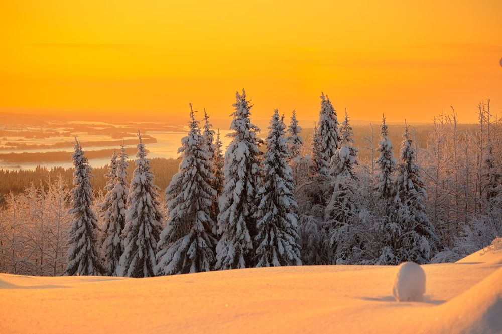 Photograph by Олег Раков