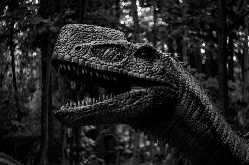 Photograph by Stanislav Shelby