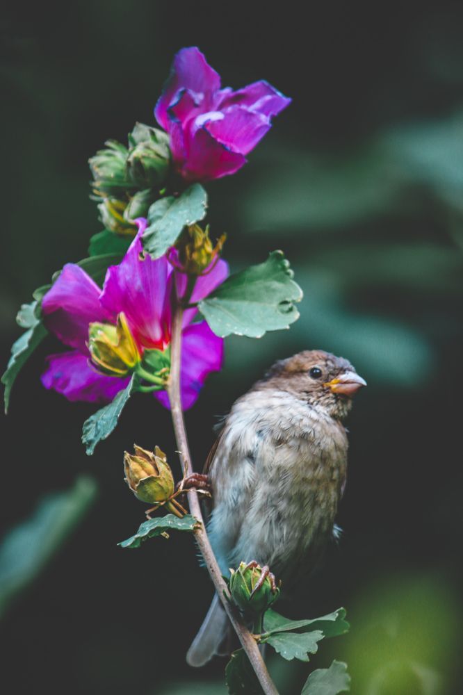 Photograph by Христина Сергейчик