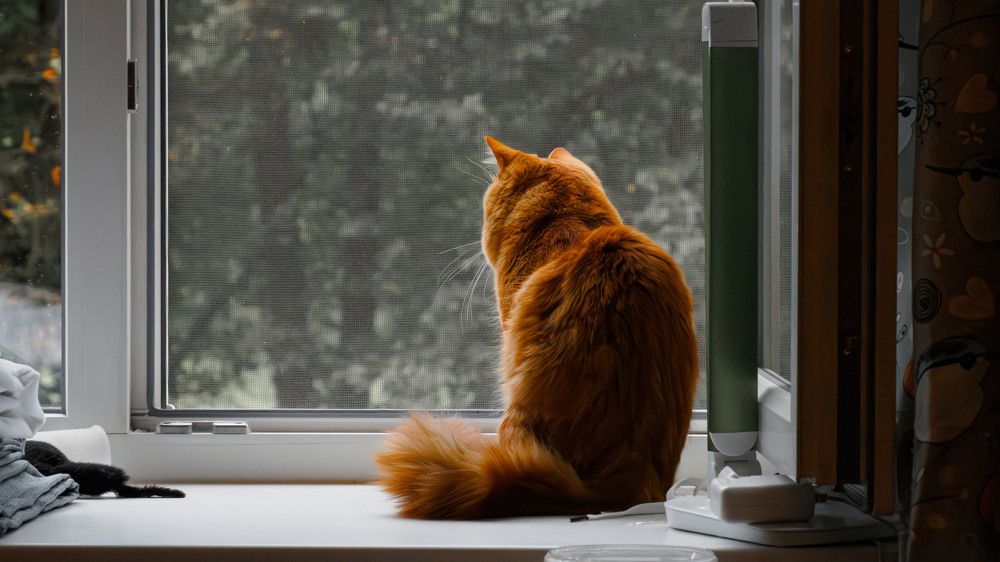 Photograph by Андрей Мичурин