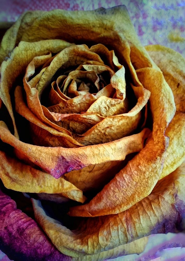 Фотография автора Евгения Зайцева