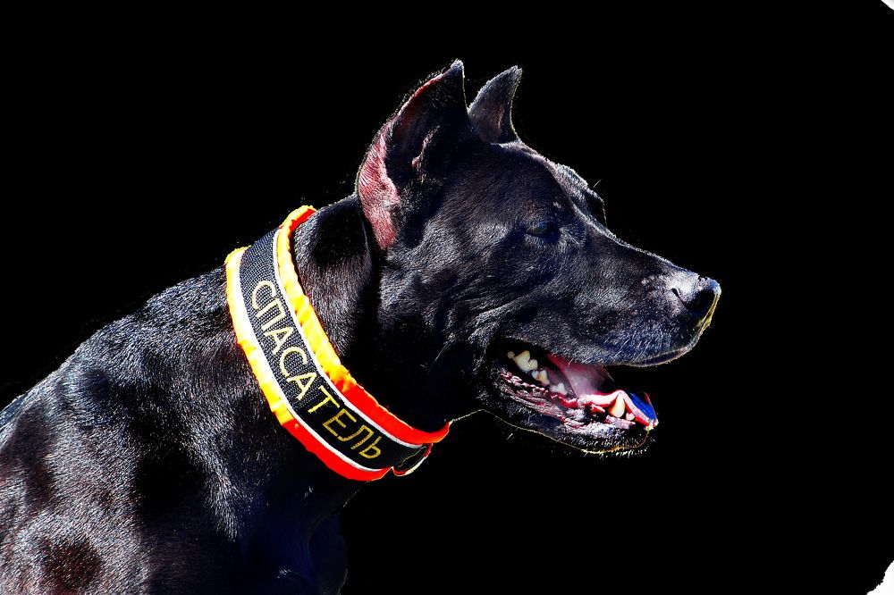 Photograph by Дмитрий Волков