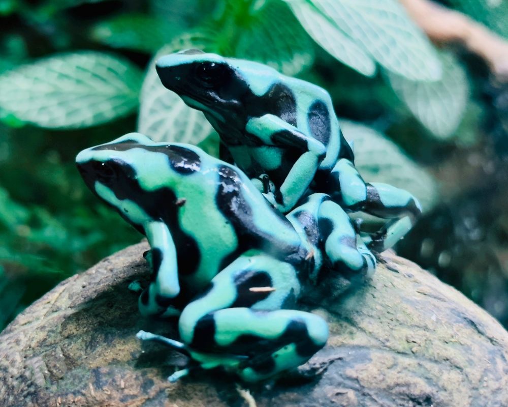 Photograph by Никита Петров