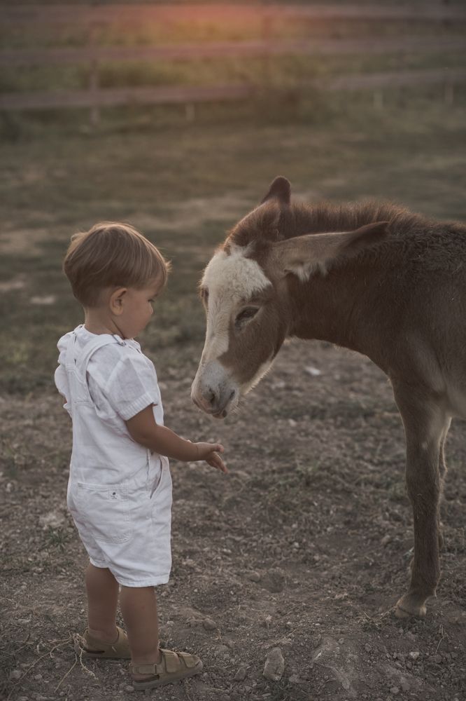 Photograph by Daria Carlucci