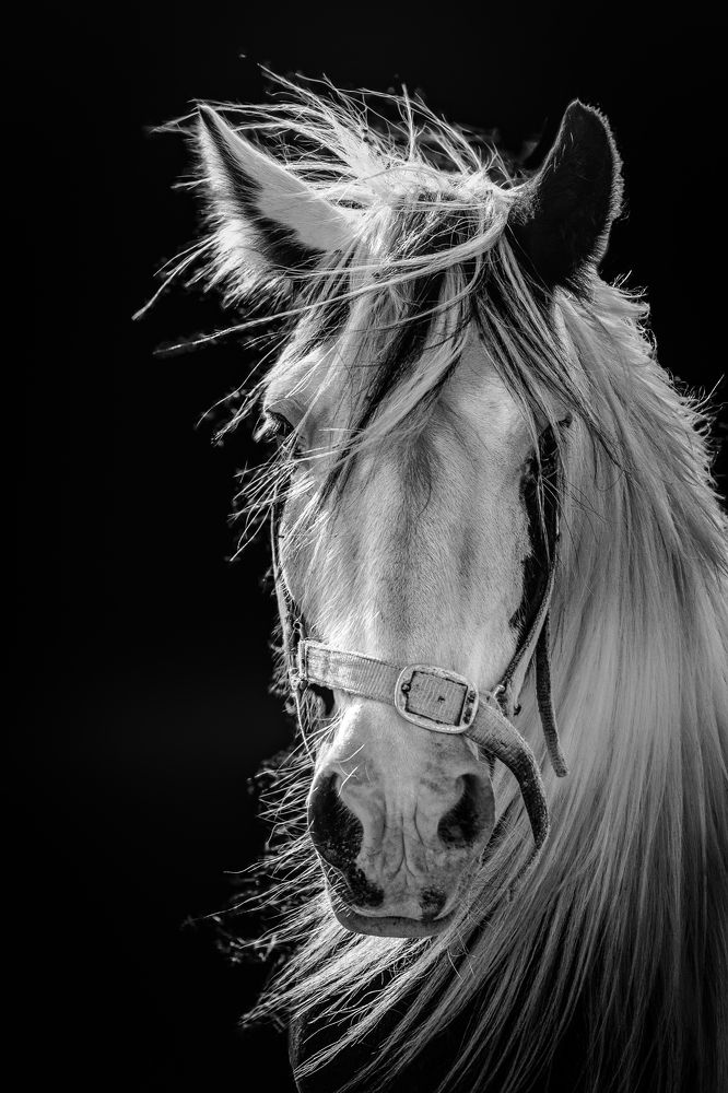 Photograph by Ivan Uhov