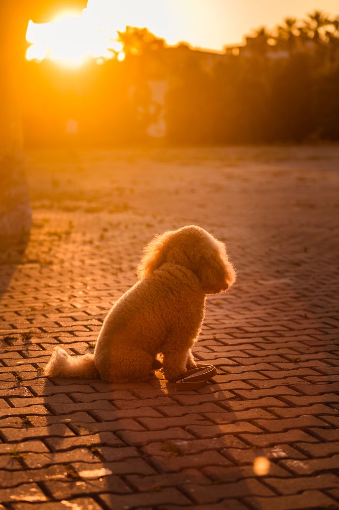 Photograph by Ирина Эрон