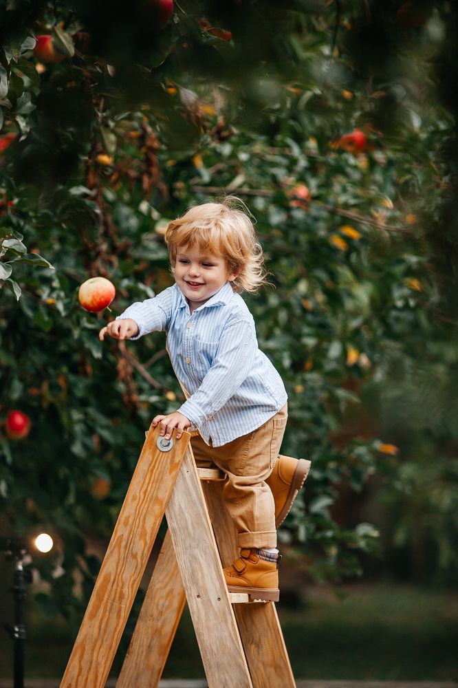 Photograph by Алина Кушнирук