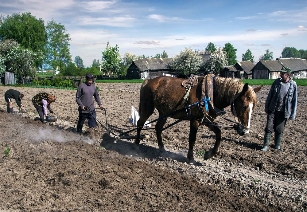 Photograph by Анатолий Веремеев