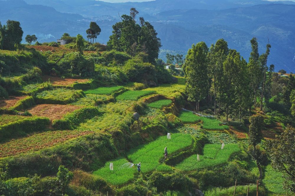 Photograph by Vetrivel Nagaraj