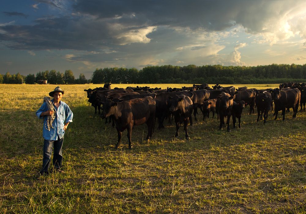 Photograph by Анатолий Веремеев