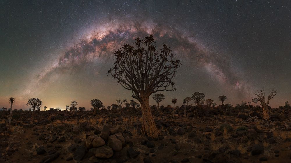 A Night at the Quiver Tree Forest