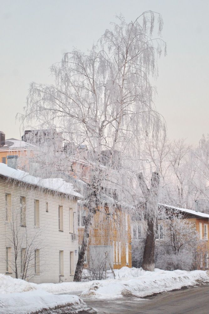 Photograph by Николай Николаевич Леухин