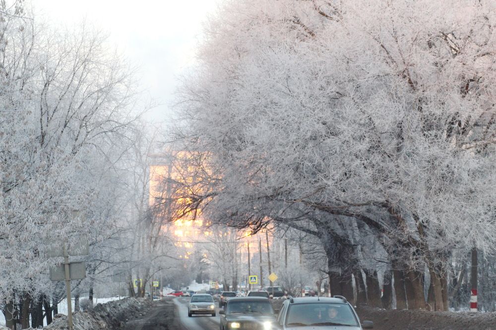 Photograph by Николай Николаевич Леухин