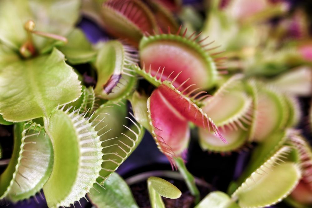 Photograph by Михаил Зорин