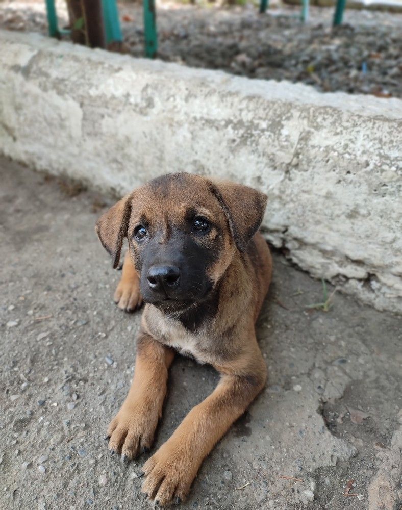 Photograph by Елена Горева