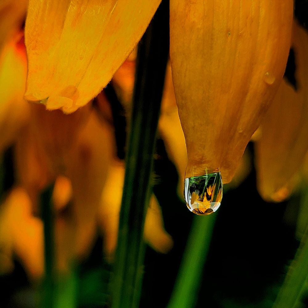 Photograph by Catherine