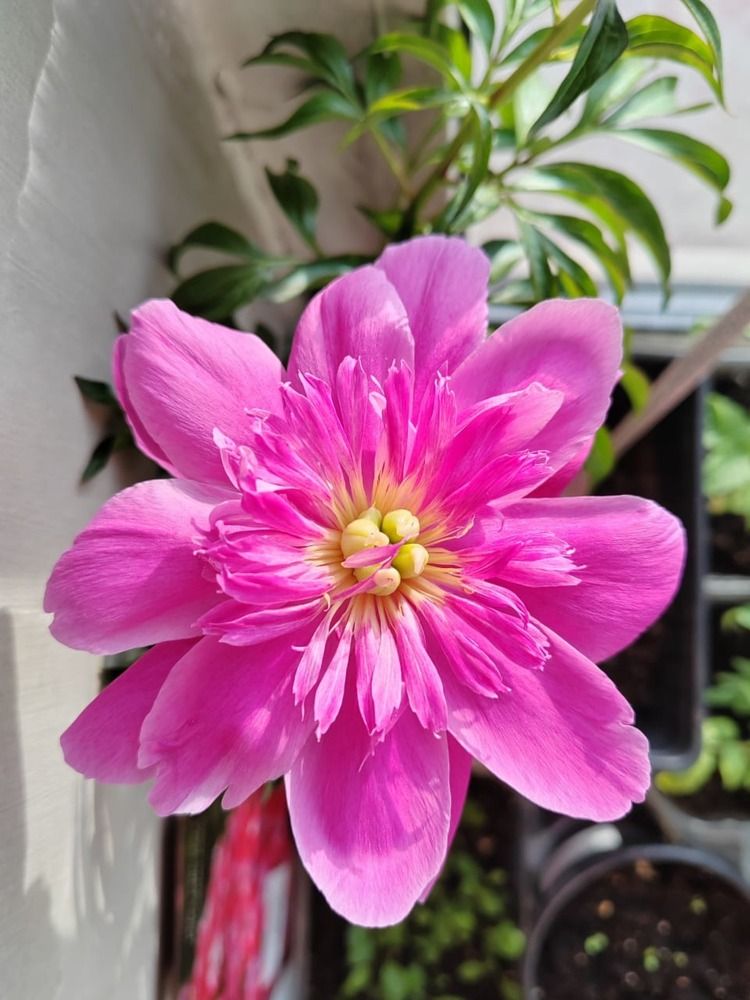 Photograph by Кирилл Грачев