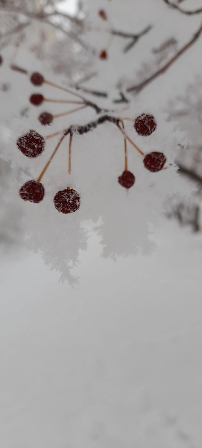 Photo #9551583