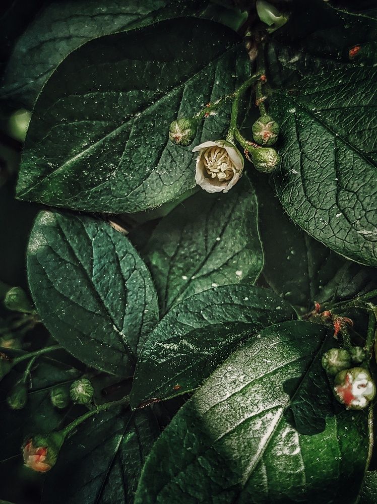 Photograph by Олеся Хижко