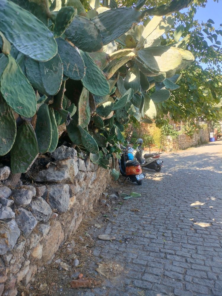 Photograph by Кристина Шацкая