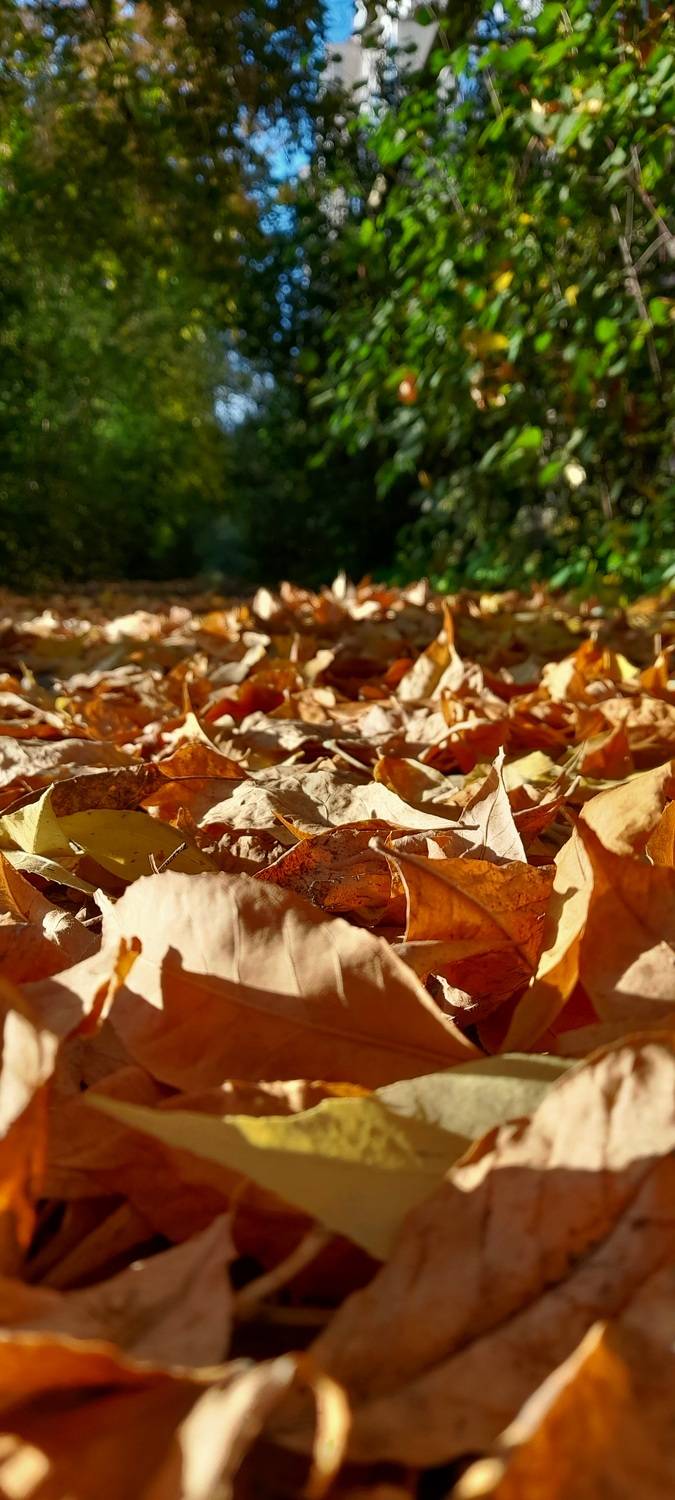 Photo #9551616