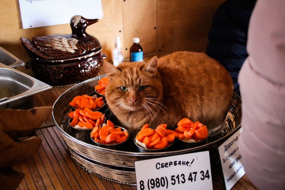 Photograph by Андрей Мичурин