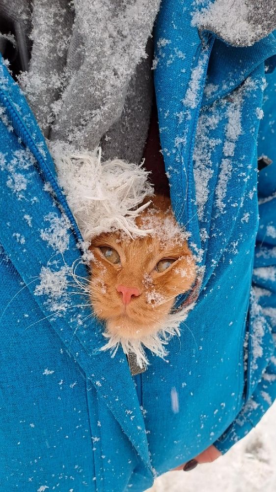 Photograph by Андрей Мичурин