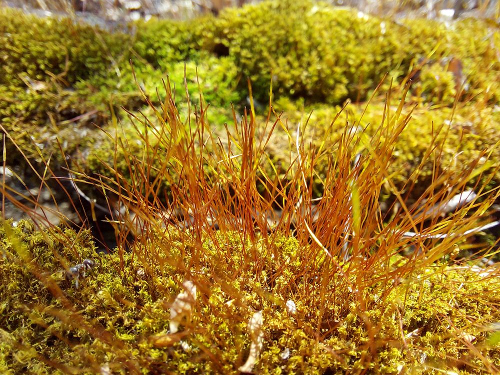 Photograph by Юлия Сахарова