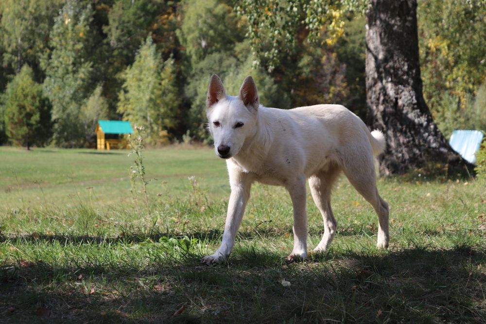 Фотография автора Веста Ягужинская