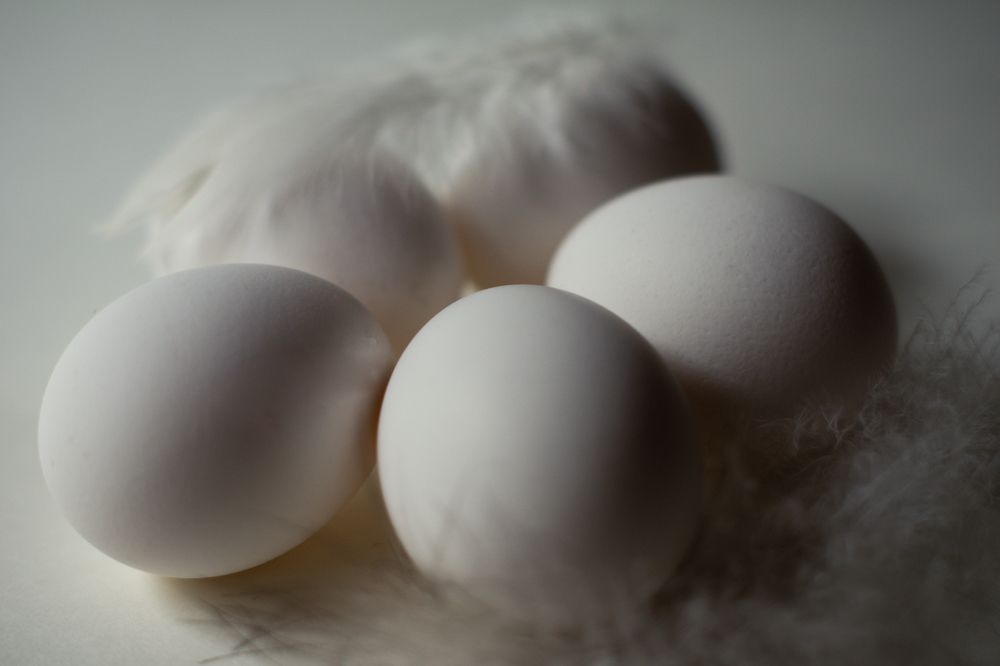 Photograph by Гюзель Даугуль