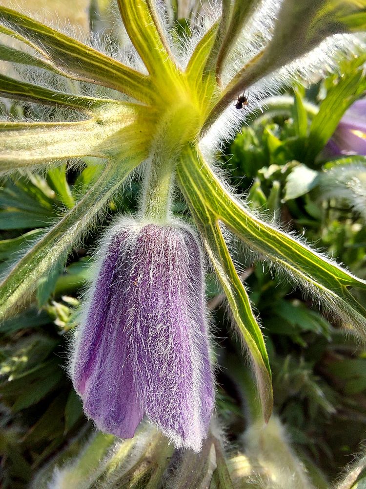 Photograph by Юлия Сахарова