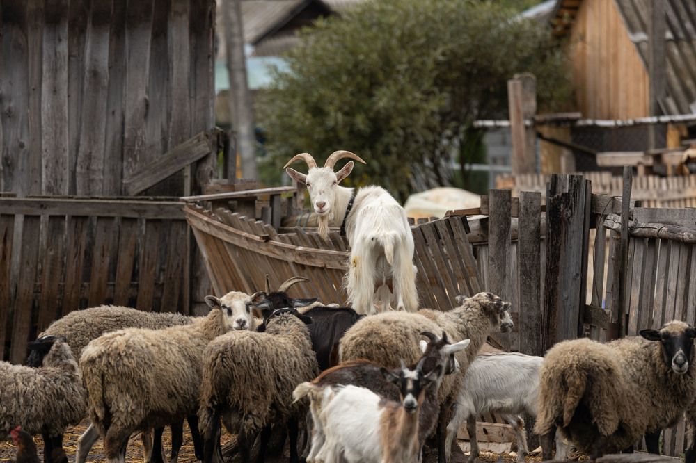 Photograph by Александра Гончаренко