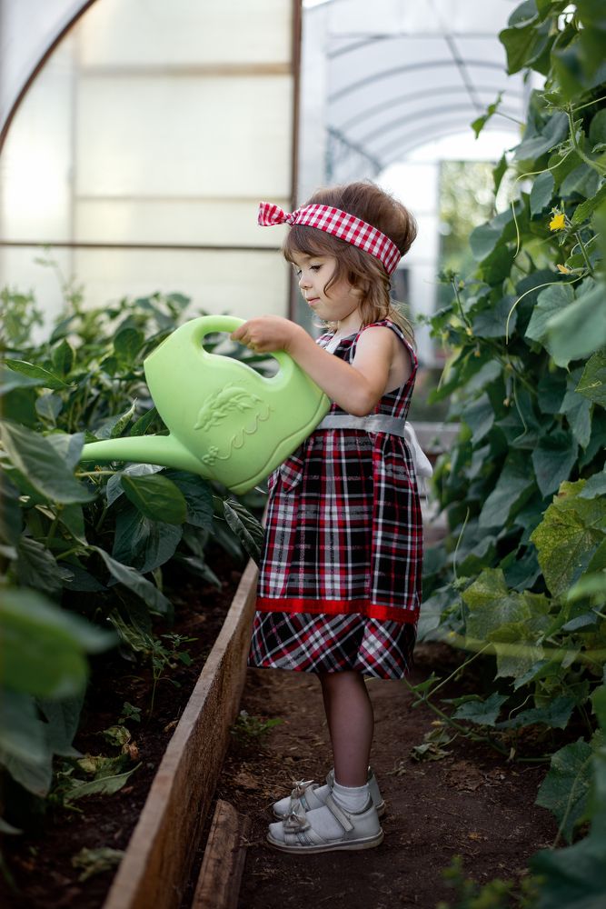 Photograph by Надежда Соколова