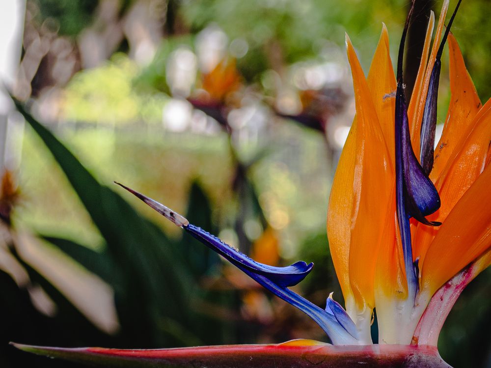 Photograph by Наталья Кокорина