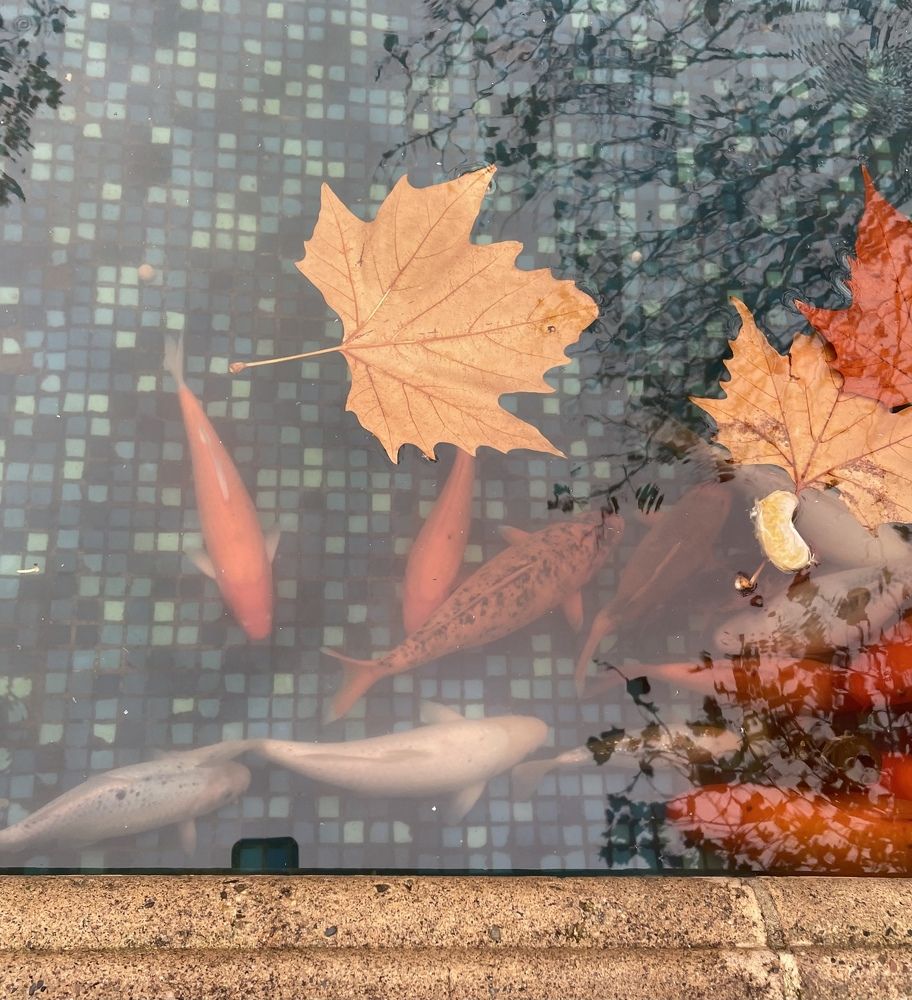 Photograph by Татьяна