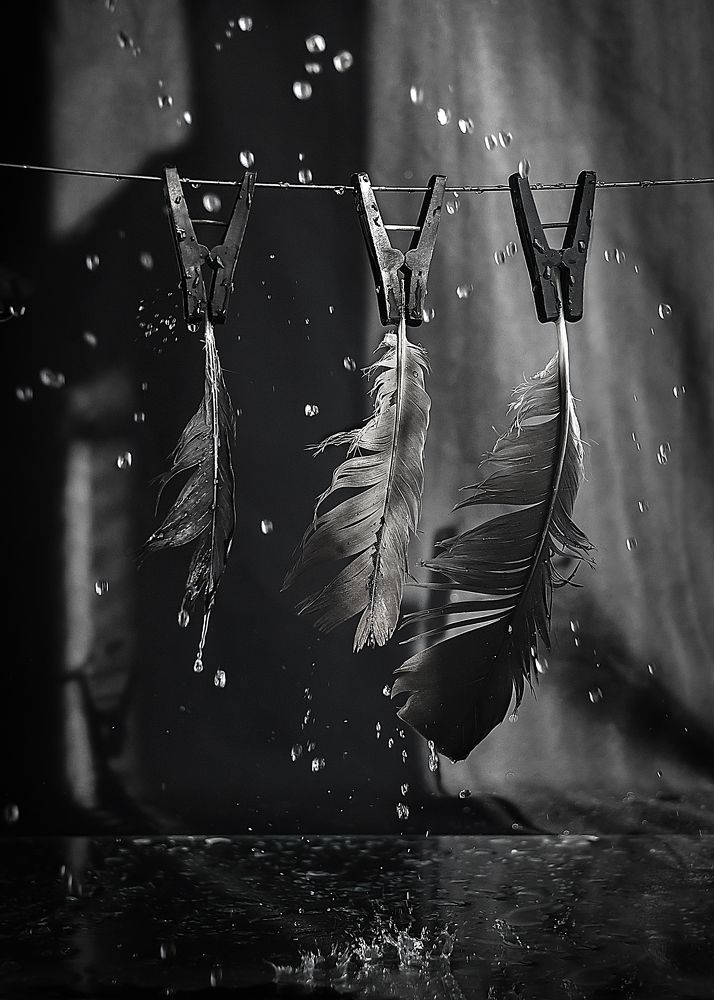 Сушим перышки...