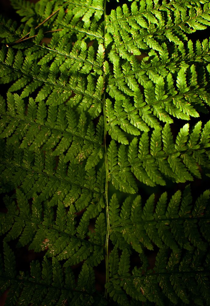 Photograph by Олеся Лагутина