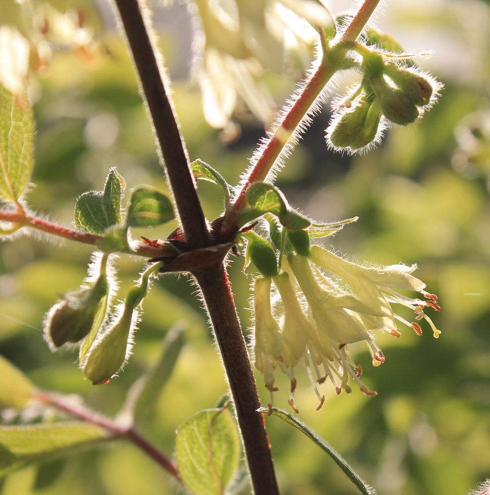 Photograph by Юлия Сахарова
