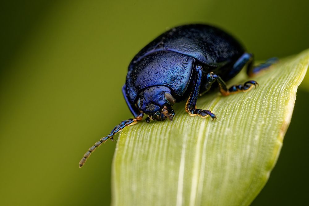 Фотография автора Jozef Mihalčin