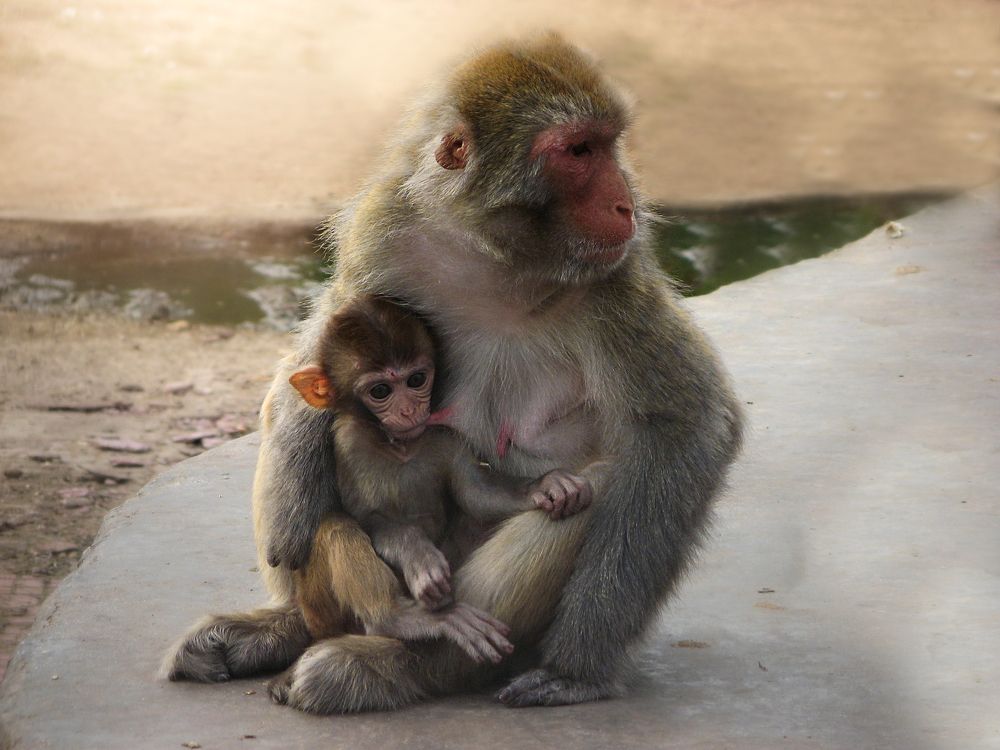 Фотография автора Галина Аверьянова