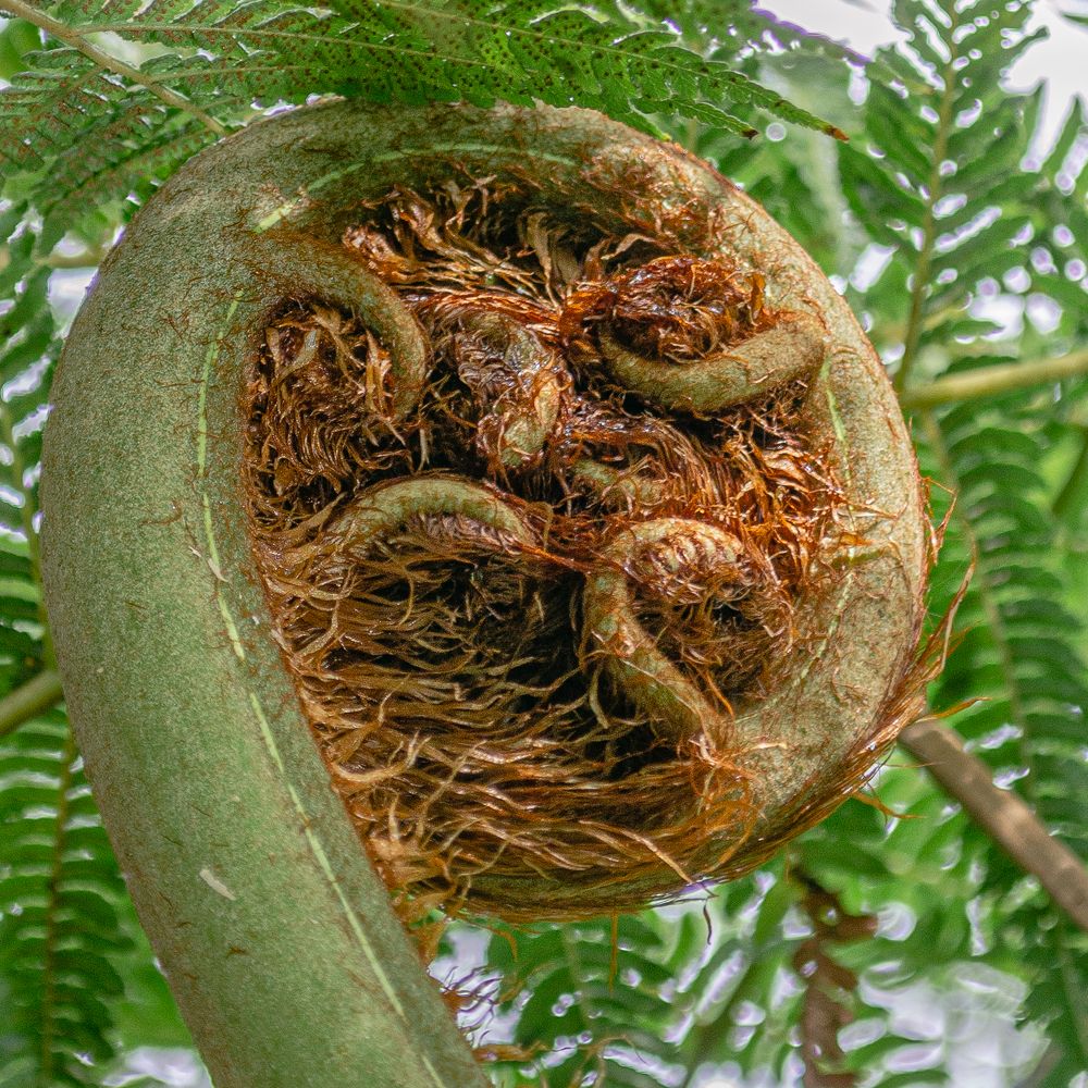 Photograph by Наталья Кокорина