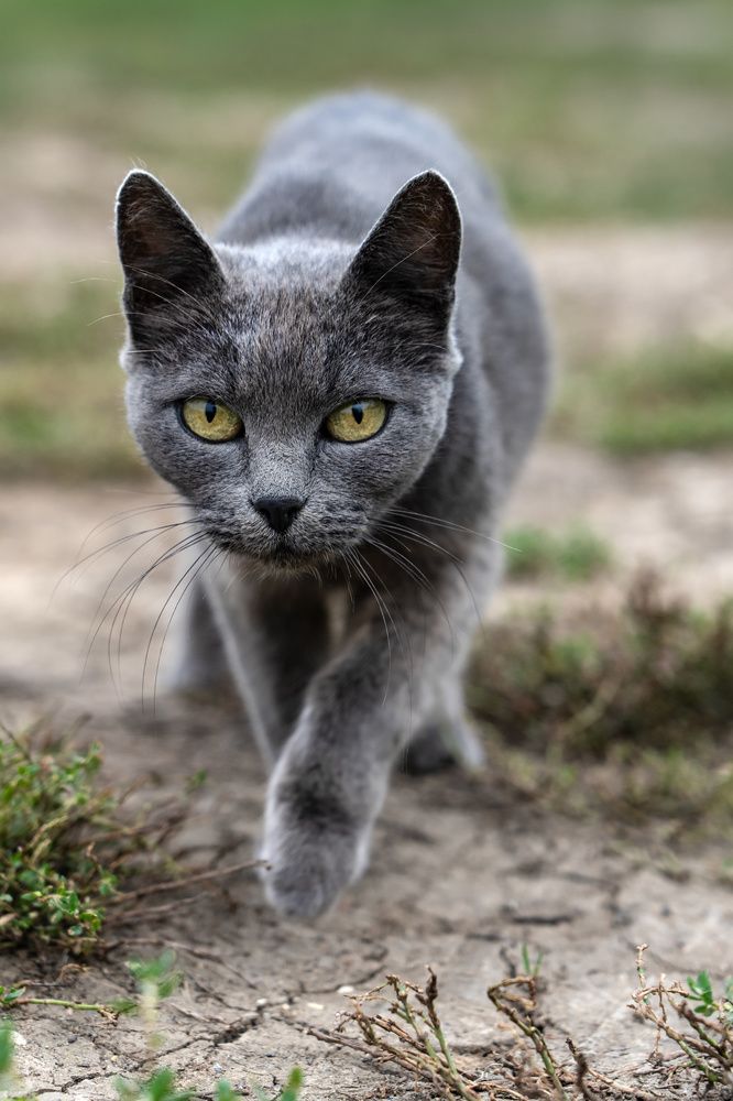 Photograph by Ирина Остапенко