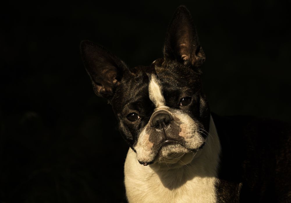 Photograph by Юлия Куликова