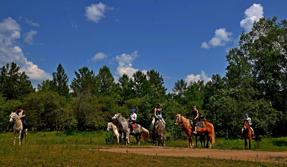 Конный туризм.