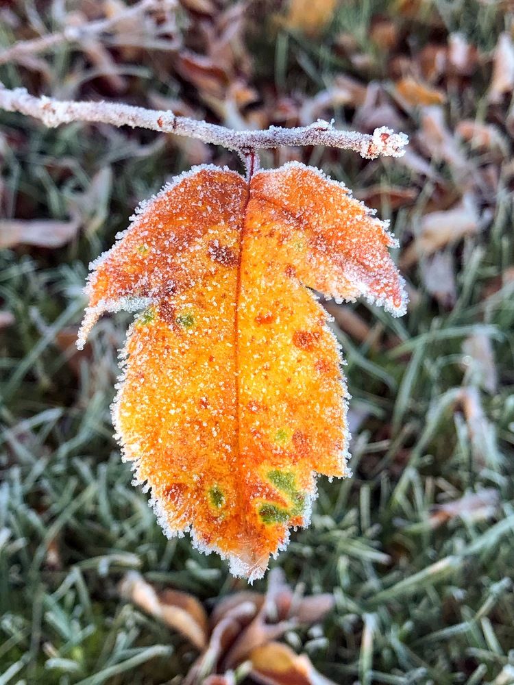 Photograph by Татьяна Шибанова