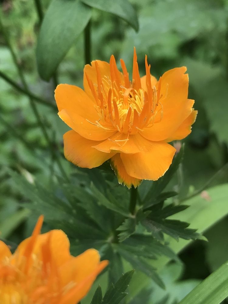 Photograph by Татьяна Шибанова