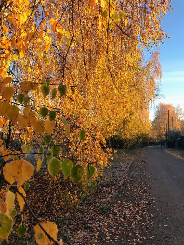 Photograph by Татьяна Шибанова