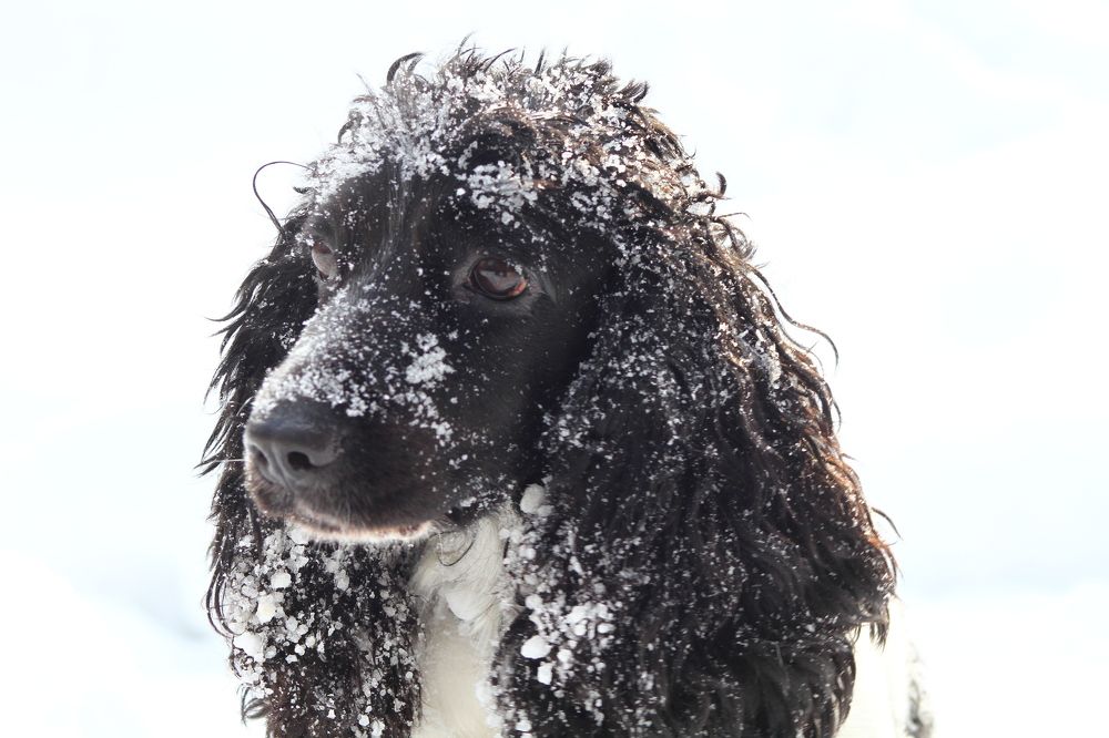 Photograph by Елизавета Мишина