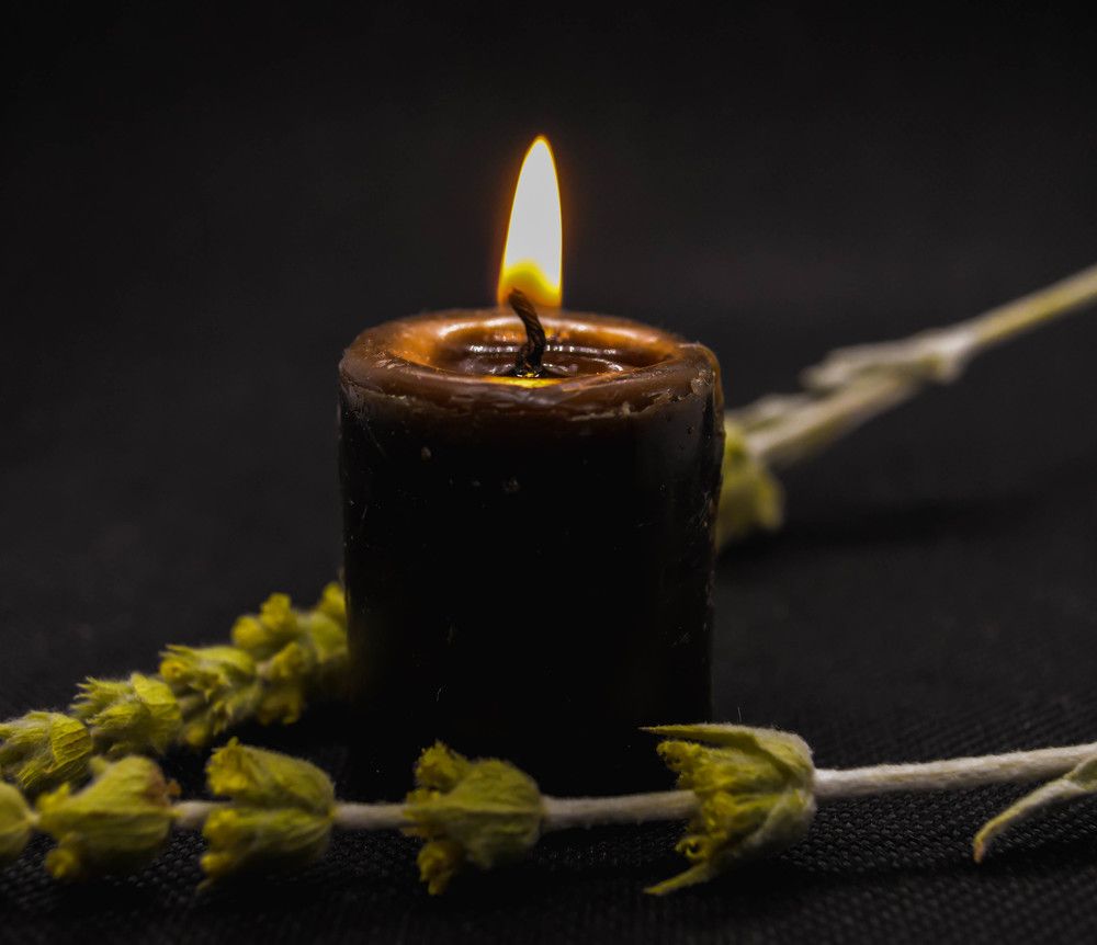 Photograph by Елена